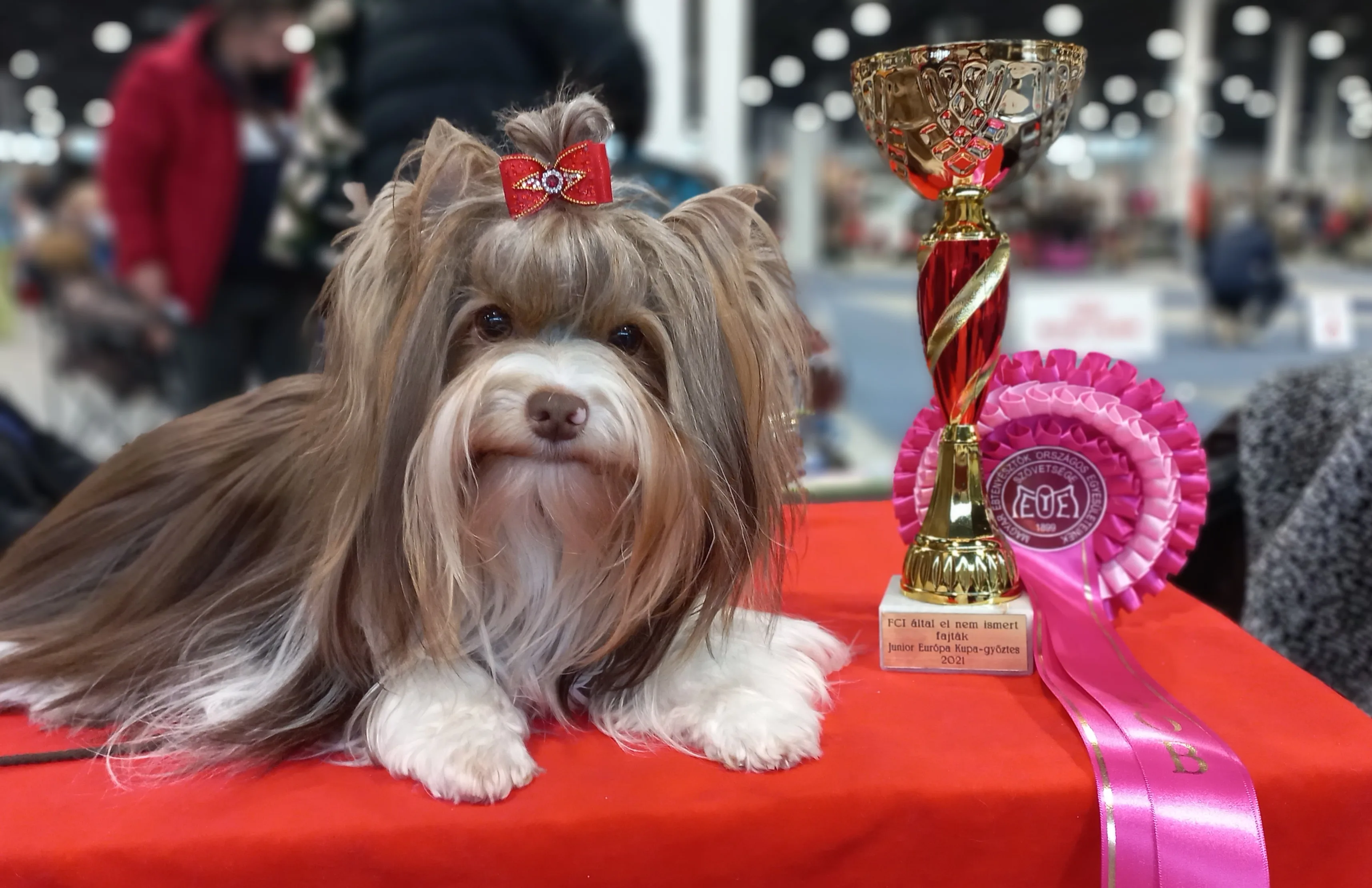 Rolly Polly Luxus Lazuri