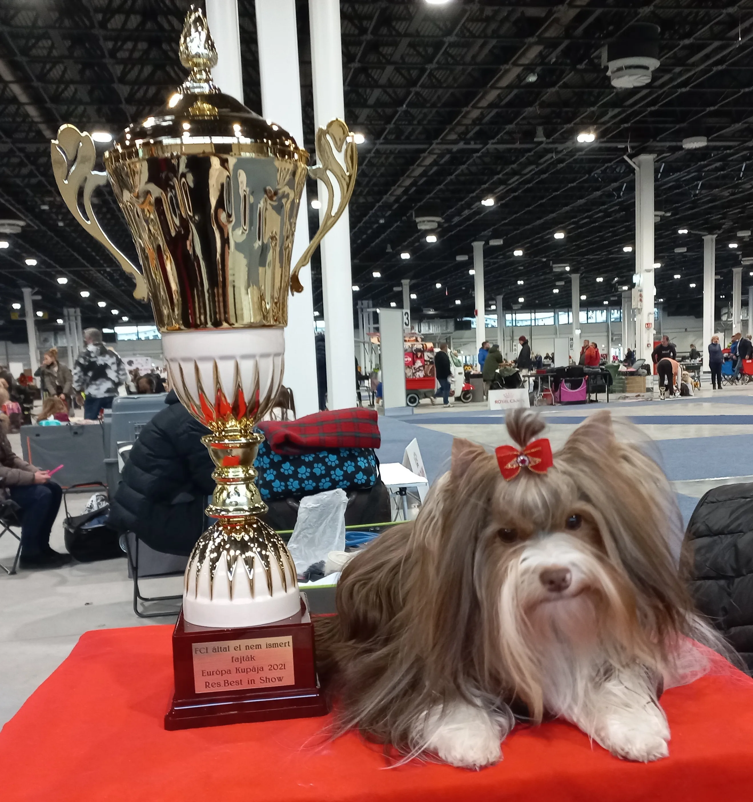 Rolly Polly Luxus Lazuri