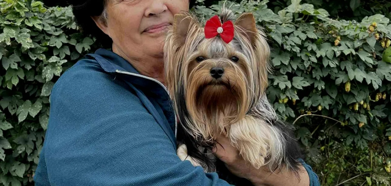 Zetty Little Silver Of York