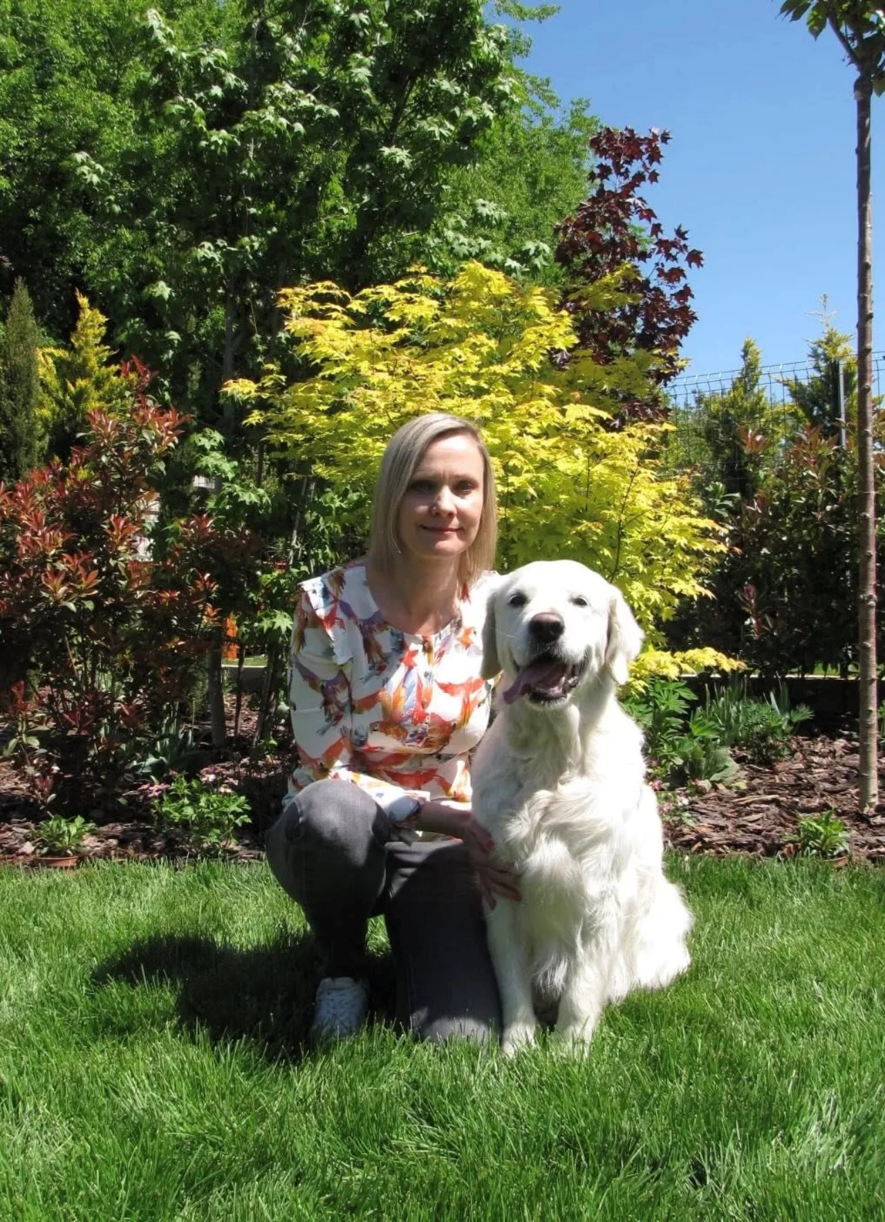Honey, a Graceful Shine Golden Retriever Kennel golden retrievere