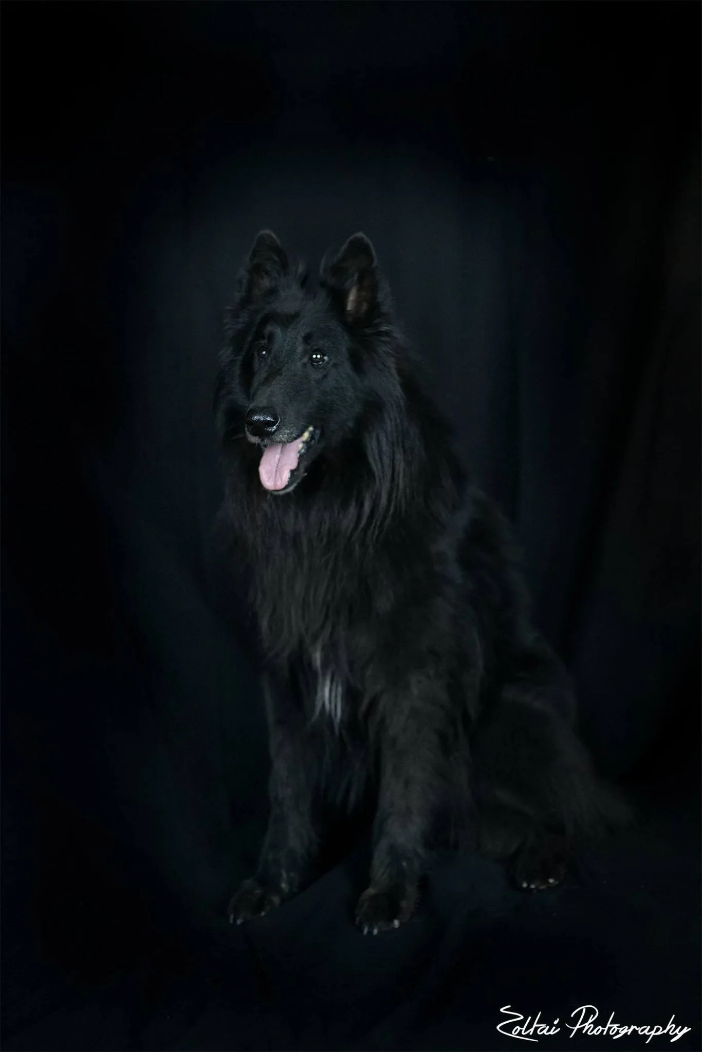 Black Obsidian Hayden