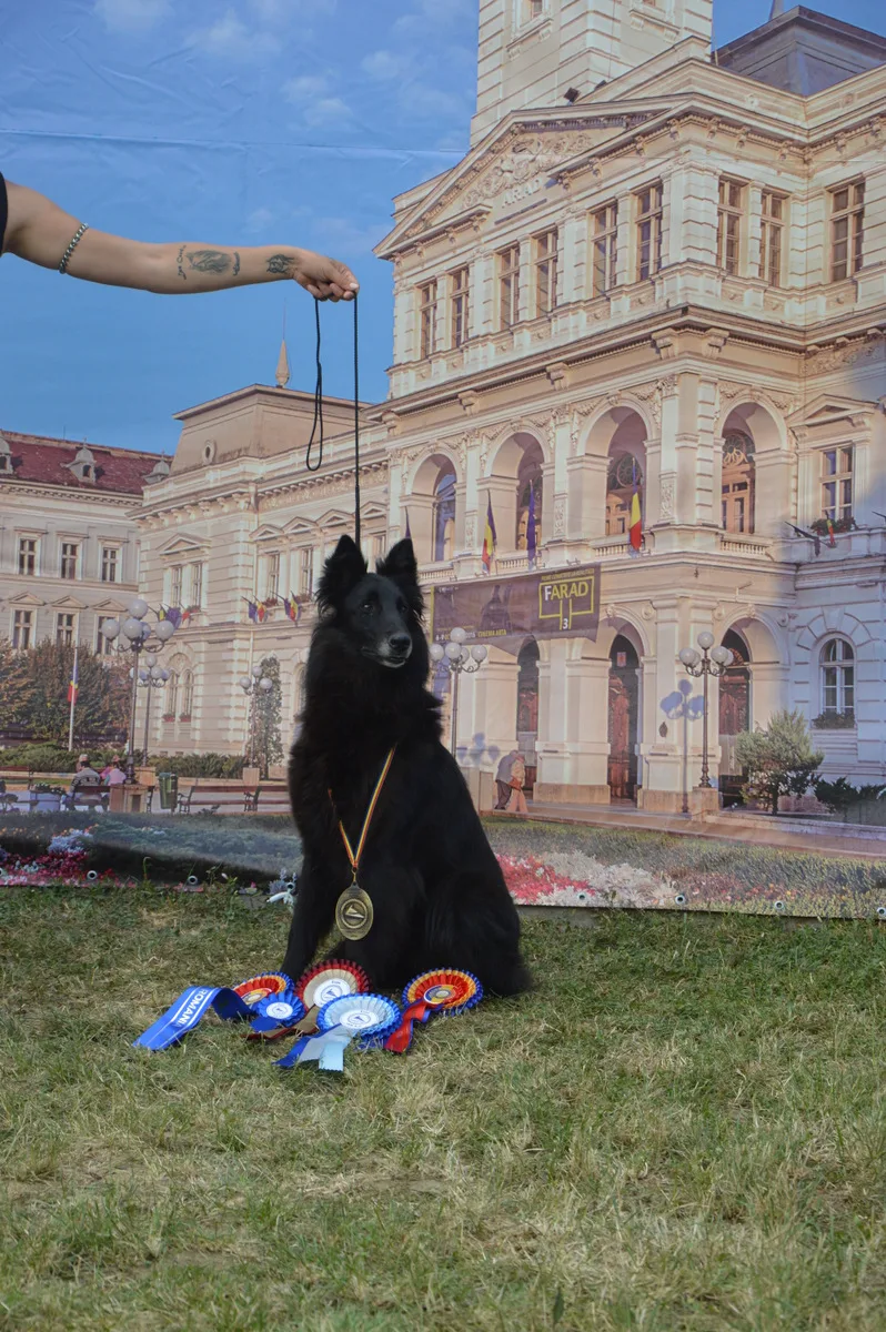 Black Obsidian Khendra