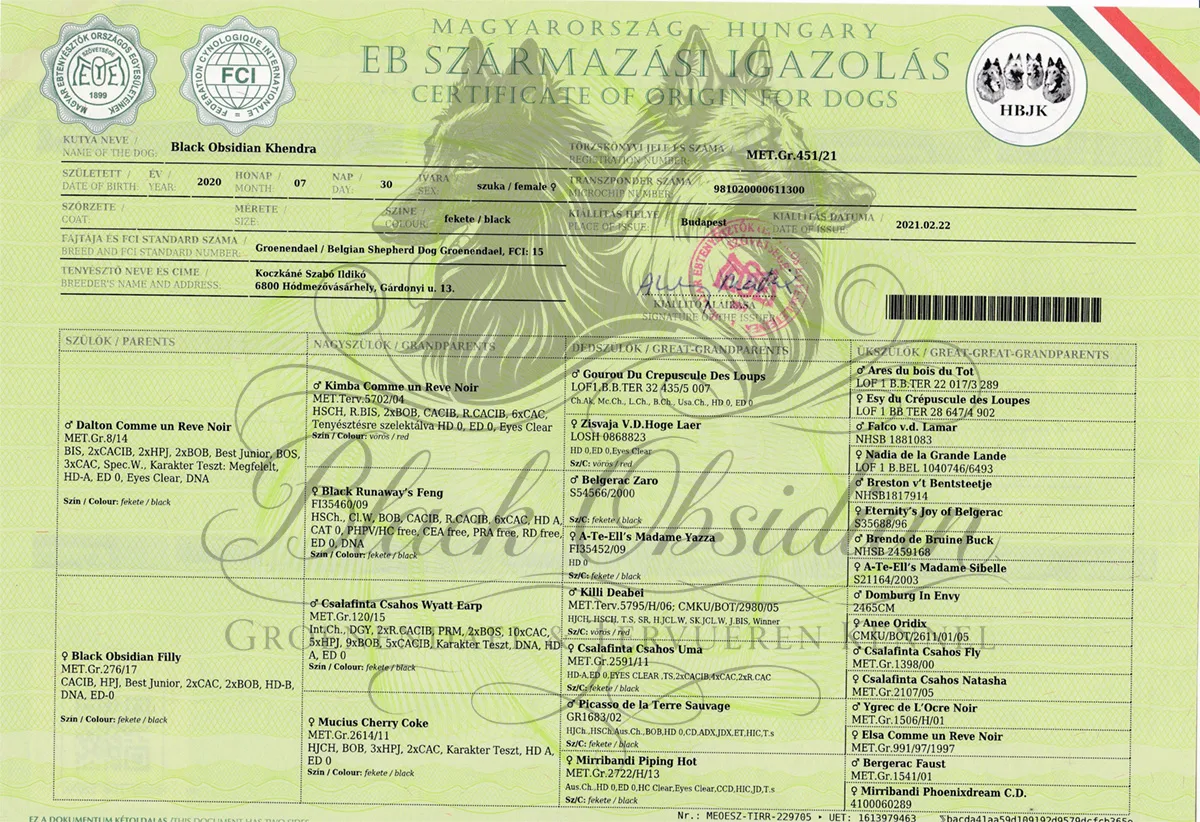 Black Obsidian Khendra – kép 5