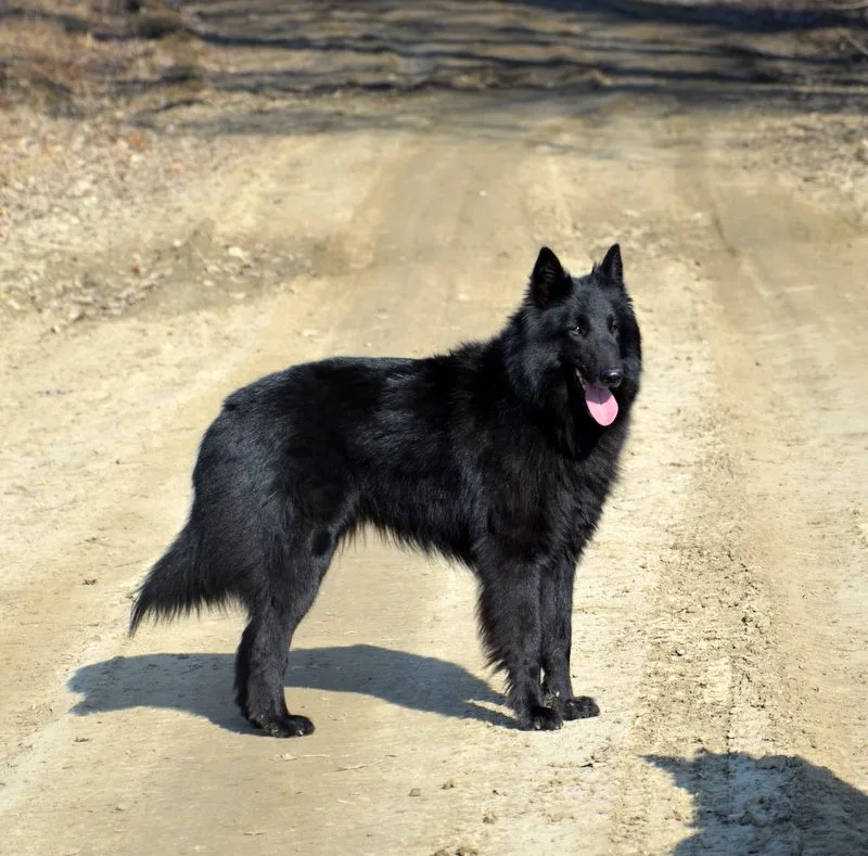 Eternity's Nike – 2. kép