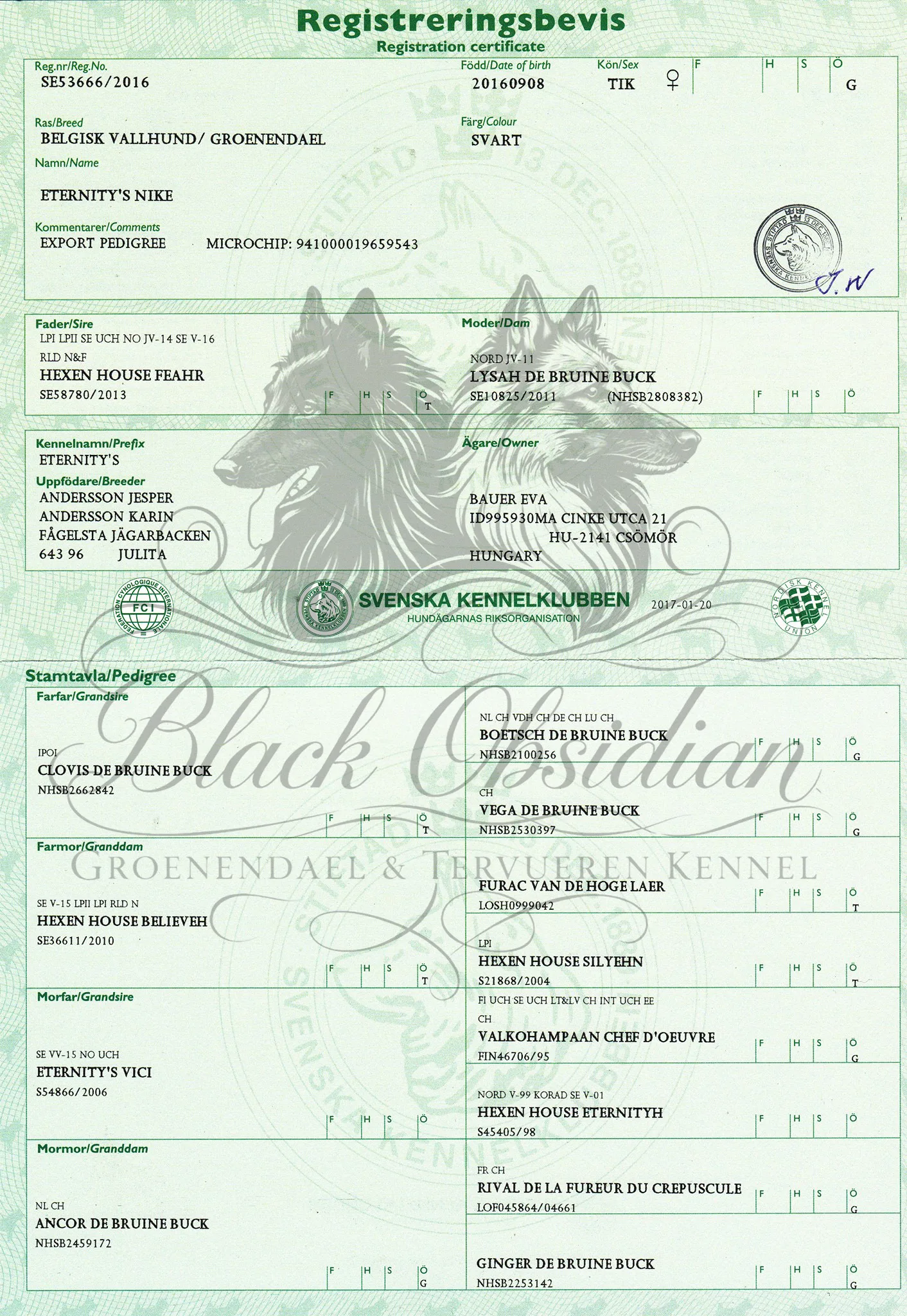 Eternity's Nike – kép 3