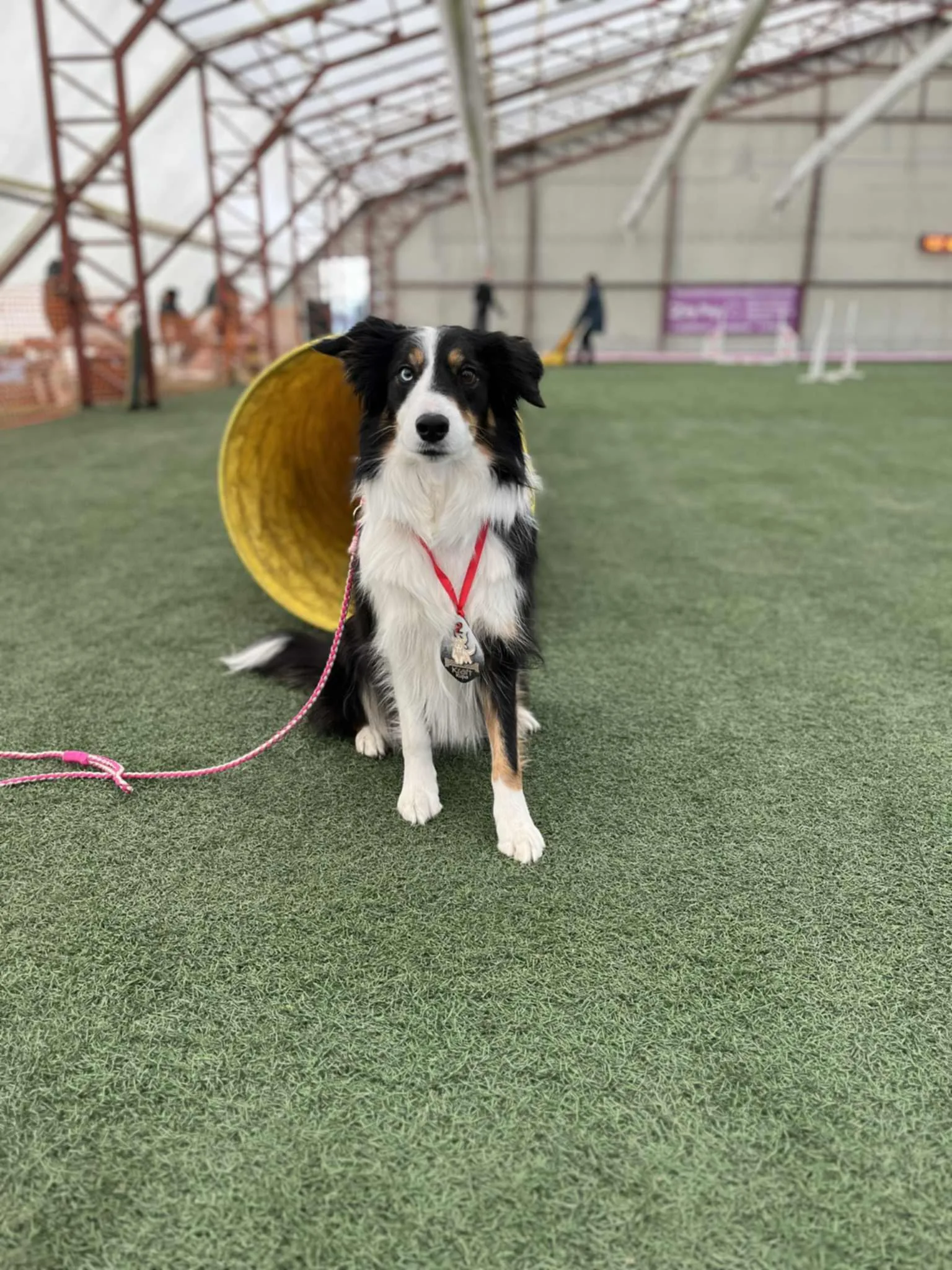 2025. évi összegzés kép 3