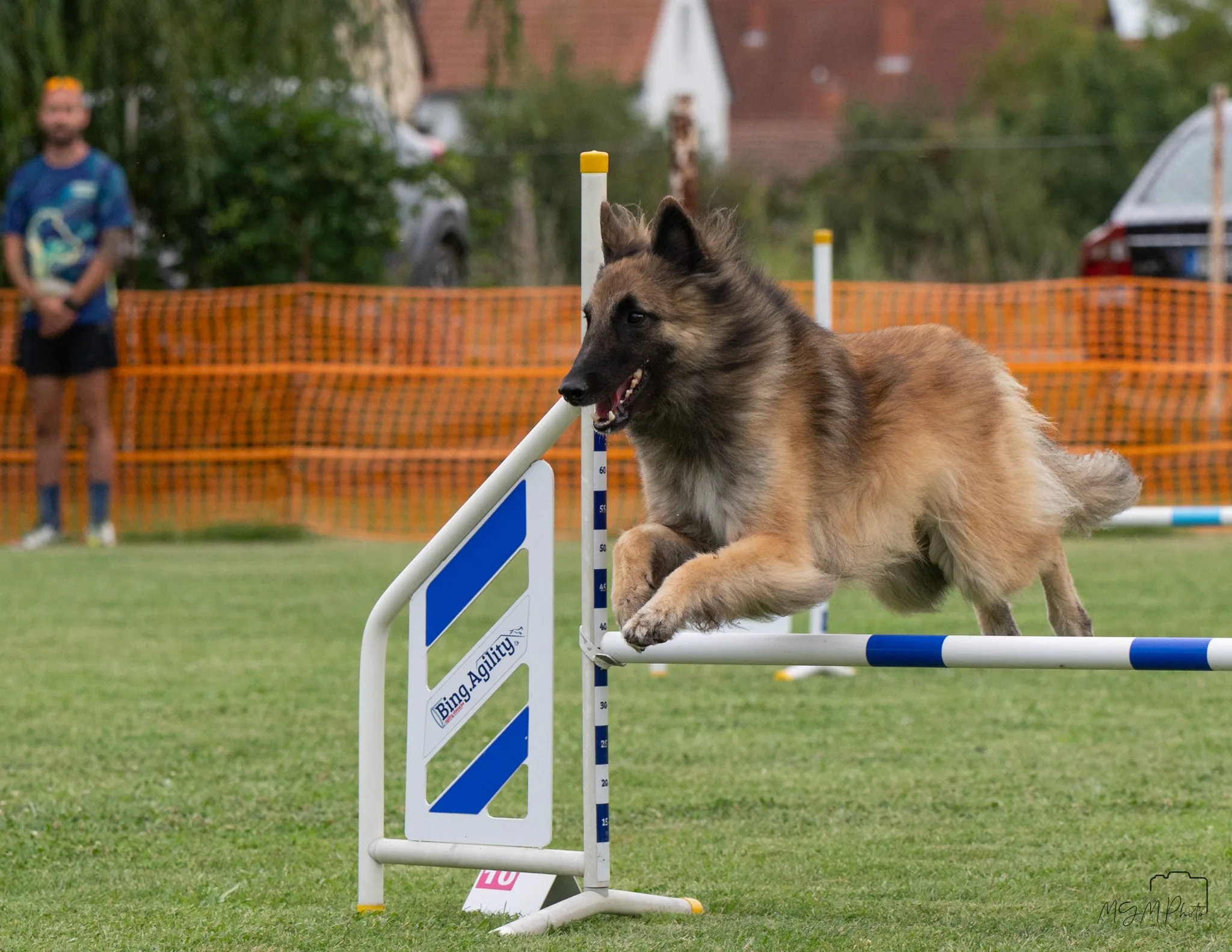 Black Obsidian Lex 'Nolan' bemutatkozása az FMBB Agility Világbajnokságon kép 3