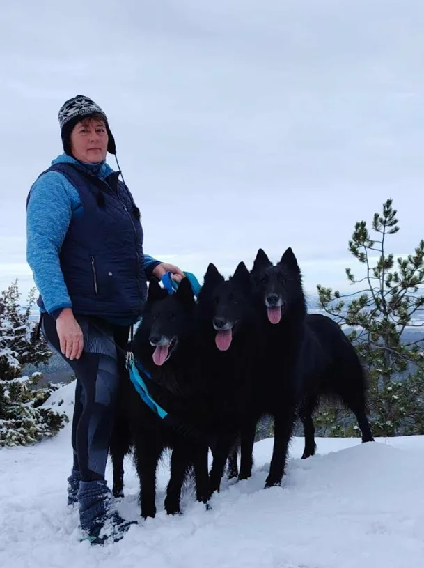 Tél – hó a Black Obsidian kennel életében kép 6