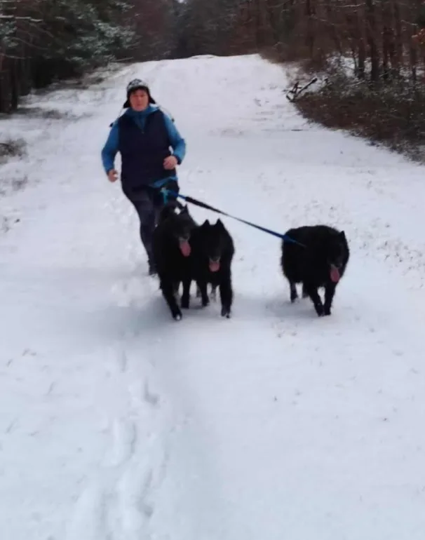 Tél – hó a Black Obsidian kennel életében kép 7